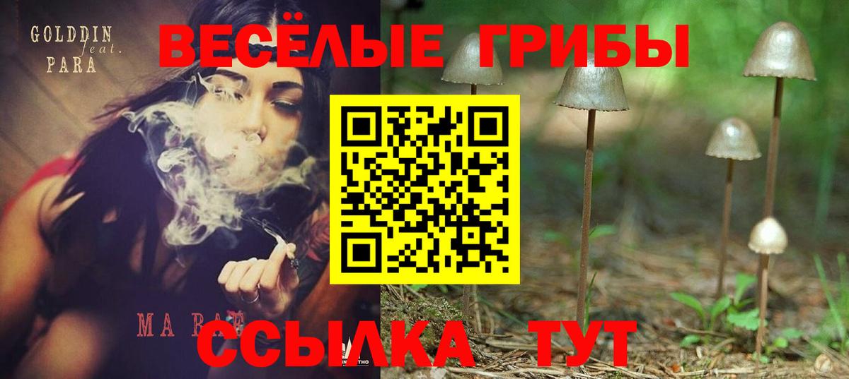 Ачинск  Галлюциногенные грибы мицелий  Псилоцибиновые грибы Psilocybe  Вход с VPN 